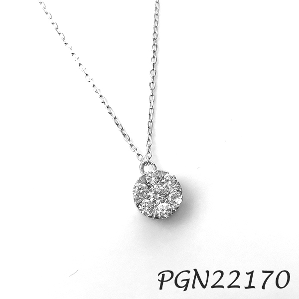 Flower Solitaire CZ 925 Necklace - PGN22170